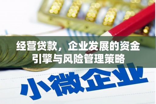 高要经营贷款，企业发展的资金引擎与风险管理策略