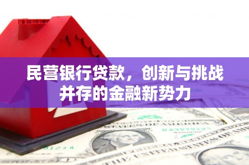 高要民营银行贷款，创新与挑战并存的金融新势力