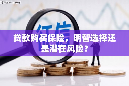 高要贷款购买保险，明智选择还是潜在风险？