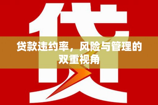 高要贷款违约率，风险与管理的双重视角
