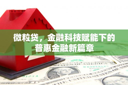 高要微粒贷，金融科技赋能下的普惠金融新篇章