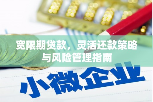 高要宽限期贷款，灵活还款策略与风险管理指南