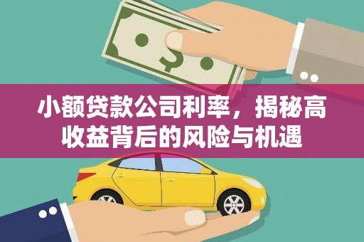 高要小额贷款公司利率，揭秘高收益背后的风险与机遇