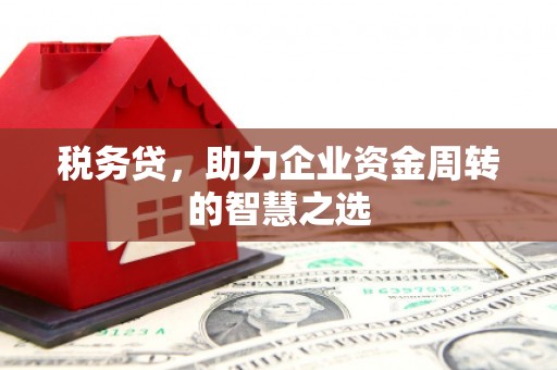 高要税务贷，助力企业资金周转的智慧之选