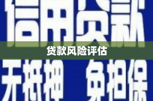 高要贷款风险评估