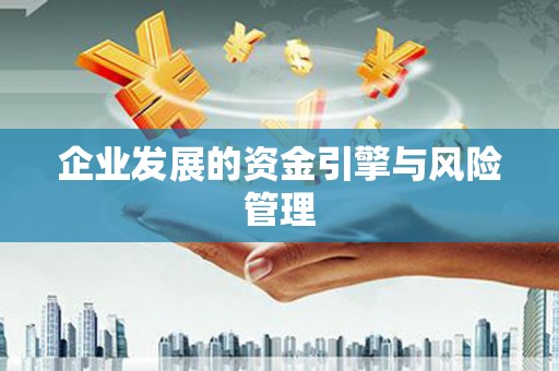 高要企业发展的资金引擎与风险管理