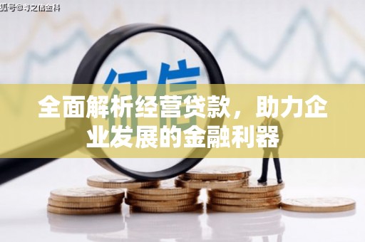 高要全面解析经营贷款，助力企业发展的金融利器