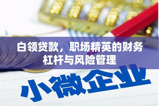 高要白领贷款，职场精英的财务杠杆与风险管理