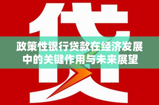 高要政策性银行贷款在经济发展中的关键作用与未来展望