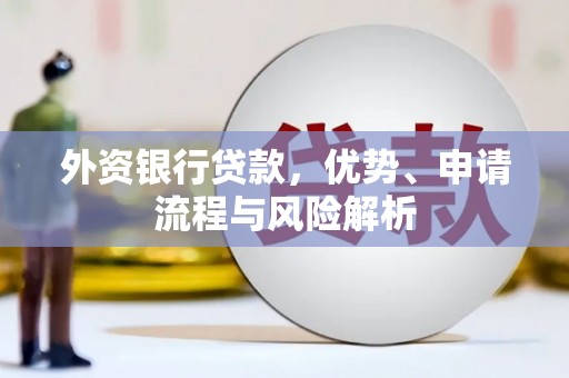 高要外资银行贷款，优势、申请流程与风险解析