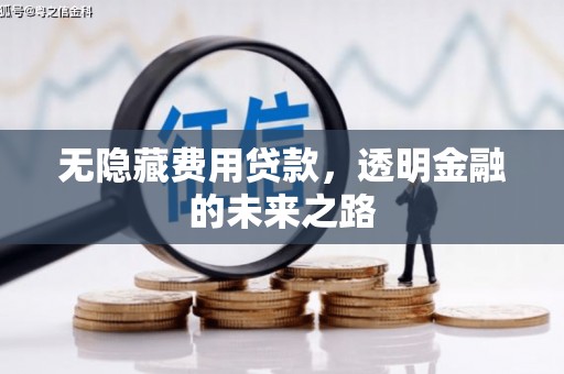 高要无隐藏费用贷款，透明金融的未来之路