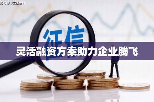 高要灵活融资方案助力企业腾飞
