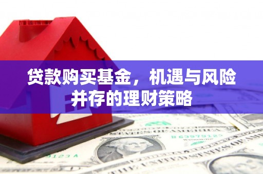 高要贷款购买基金，机遇与风险并存的理财策略