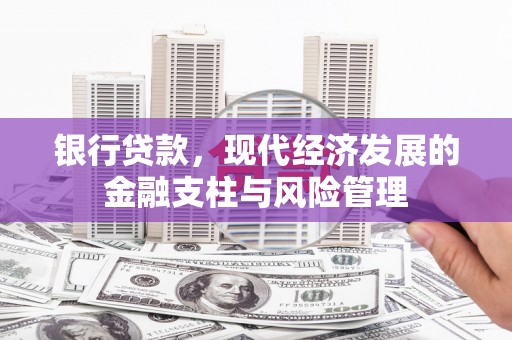 高要银行贷款，现代经济发展的金融支柱与风险管理