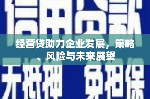 高要经营贷助力企业发展，策略、风险与未来展望