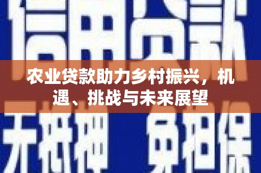 高要农业贷款助力乡村振兴，机遇、挑战与未来展望