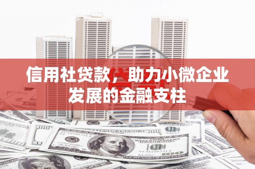 高要信用社贷款，助力小微企业发展的金融支柱