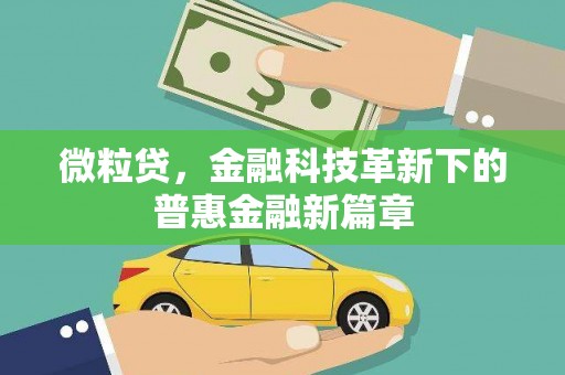高要微粒贷，金融科技革新下的普惠金融新篇章