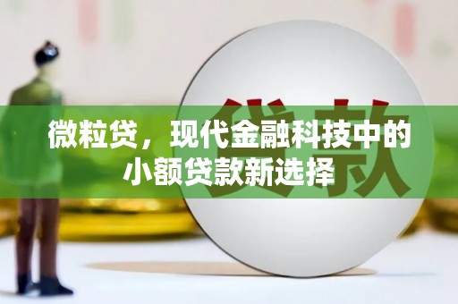 高要微粒贷，现代金融科技中的小额贷款新选择