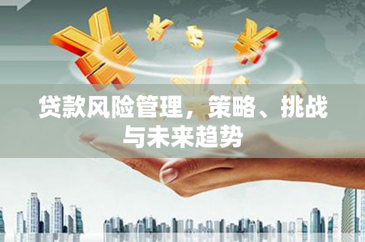 高要贷款风险管理，策略、挑战与未来趋势