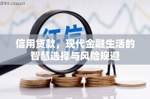 高要信用贷款，现代金融生活的智慧选择与风险规避
