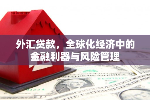高要外汇贷款，全球化经济中的金融利器与风险管理