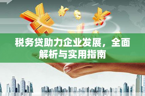 高要税务贷助力企业发展，全面解析与实用指南