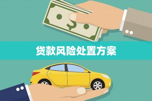 高要贷款风险处置方案