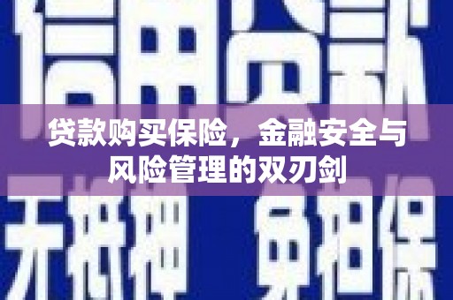 高要贷款购买保险，金融安全与风险管理的双刃剑