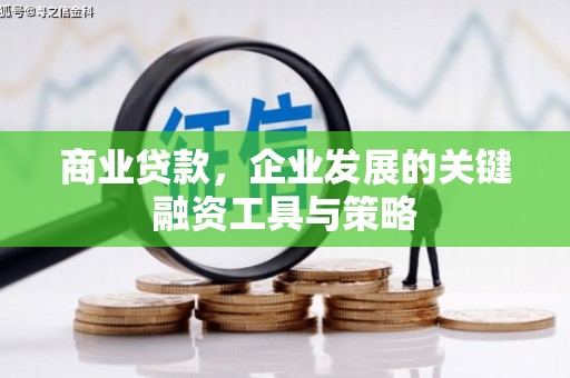 高要商业贷款，企业发展的关键融资工具与策略