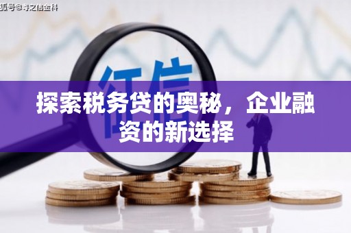 高要探索税务贷的奥秘，企业融资的新选择