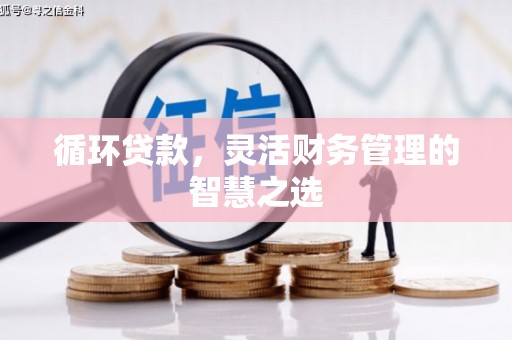 高要循环贷款，灵活财务管理的智慧之选