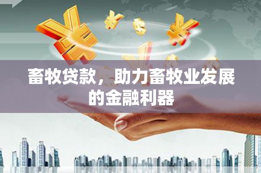 高要畜牧贷款，助力畜牧业发展的金融利器