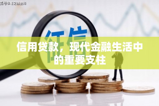 高要信用贷款，现代金融生活中的重要支柱