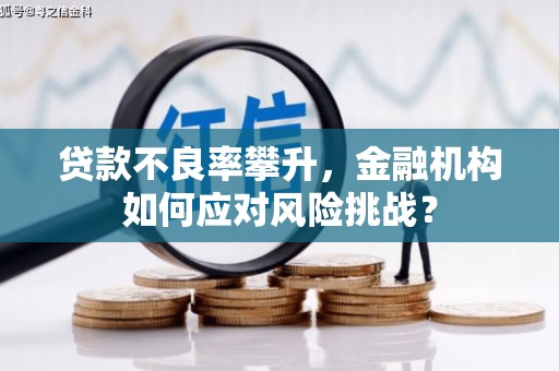 高要贷款不良率攀升，金融机构如何应对风险挑战？