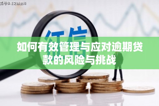 高要如何有效管理与应对逾期贷款的风险与挑战