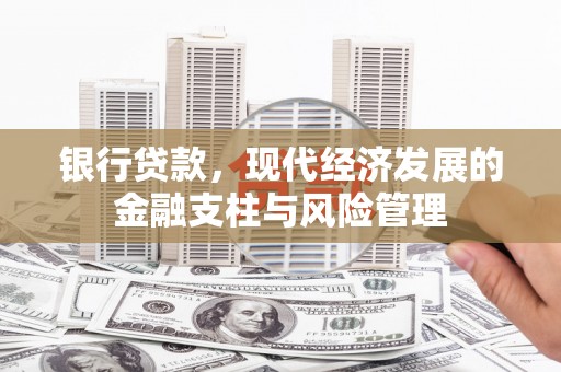 高要银行贷款，现代经济发展的金融支柱与风险管理