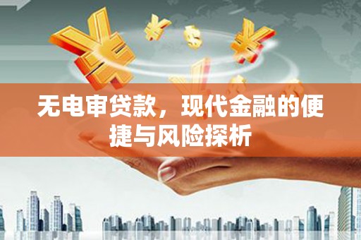 高要无电审贷款，现代金融的便捷与风险探析