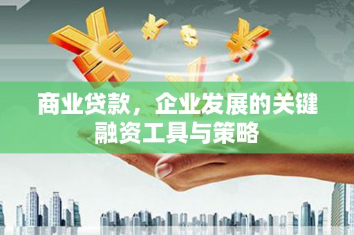 高要商业贷款，企业发展的关键融资工具与策略