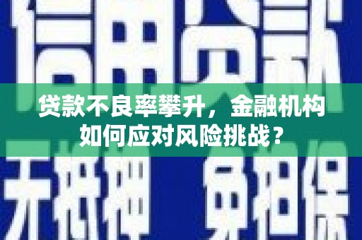高要贷款不良率攀升，金融机构如何应对风险挑战？