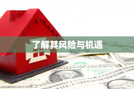 高要了解其风险与机遇