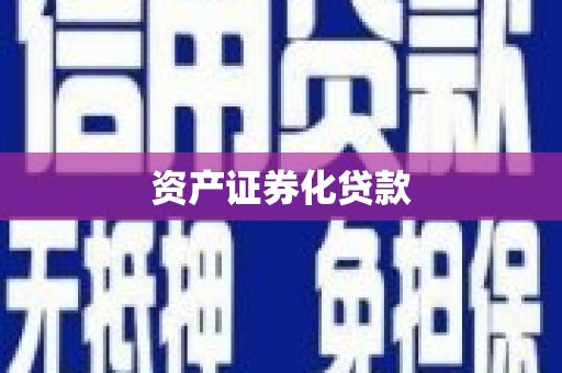 高要资产证券化贷款