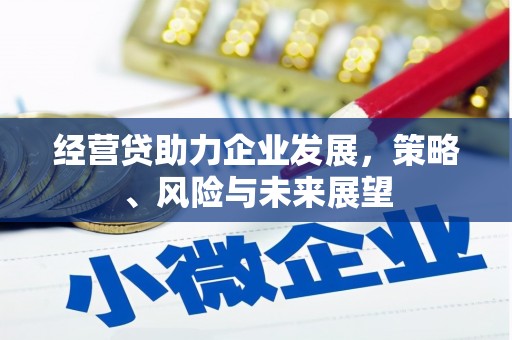 高要经营贷助力企业发展，策略、风险与未来展望