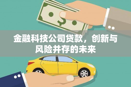 高要金融科技公司贷款，创新与风险并存的未来