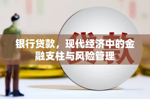 高要银行贷款，现代经济中的金融支柱与风险管理