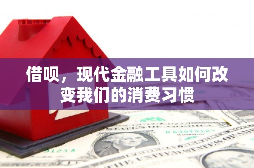 高要借呗，现代金融工具如何改变我们的消费习惯