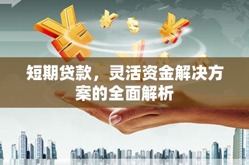 高要短期贷款，灵活资金解决方案的全面解析