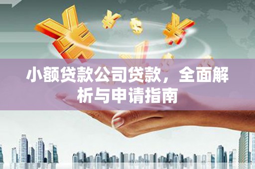 高要小额贷款公司贷款，全面解析与申请指南