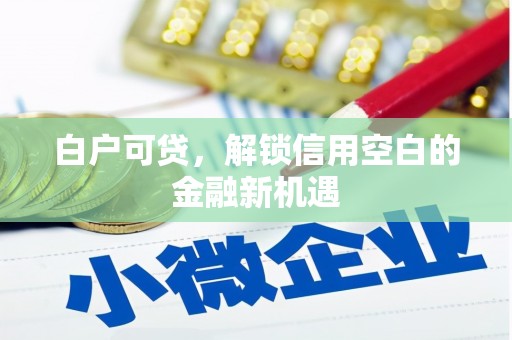 高要白户可贷，解锁信用空白的金融新机遇
