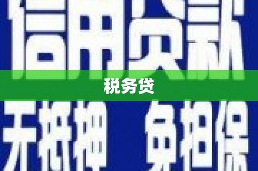 高要税务贷